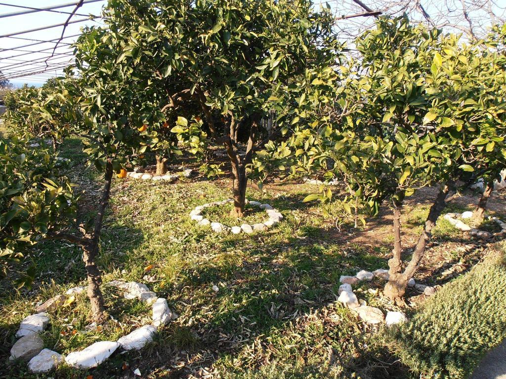 Jenny'S House Διαμέρισμα Supetar Εξωτερικό φωτογραφία