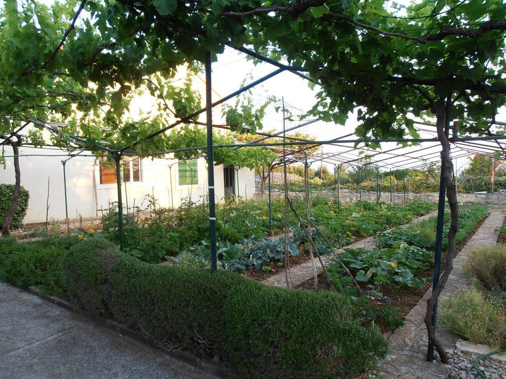 Jenny'S House Διαμέρισμα Supetar Εξωτερικό φωτογραφία